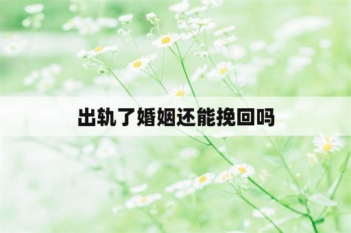 出轨了婚姻还能挽回吗