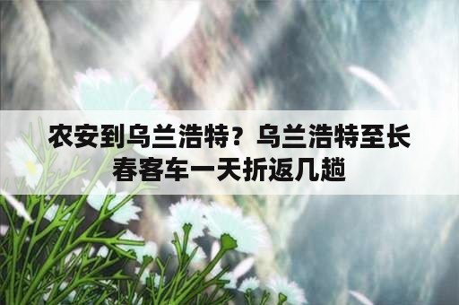 农安到乌兰浩特？乌兰浩特至长春客车一天折返几趟