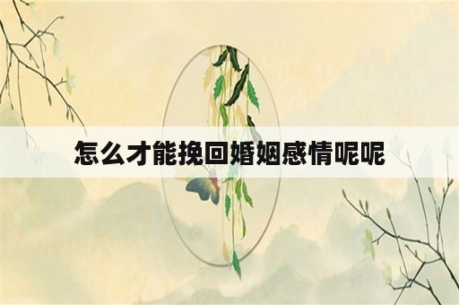 怎么才能挽回婚姻感情呢呢