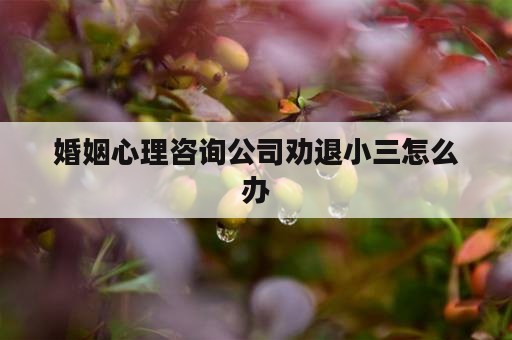 婚姻心理咨询公司劝退小三怎么办