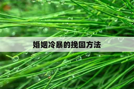 婚姻冷暴的挽回方法