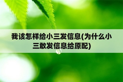 我该怎样给小三发信息(为什么小三敢发信息给原配)