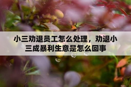 小三劝退员工怎么处理，劝退小三成暴利生意是怎么回事