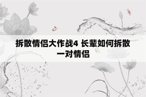 拆散情侣大作战4 长辈如何拆散一对情侣