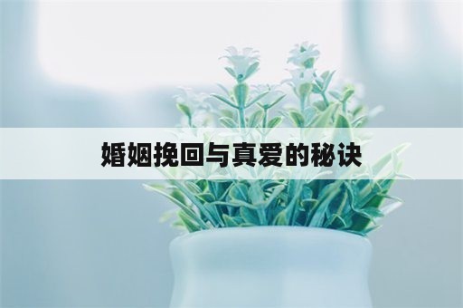 婚姻挽回与真爱的秘诀