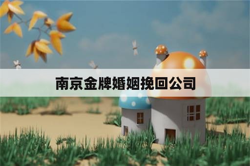 南京金牌婚姻挽回公司