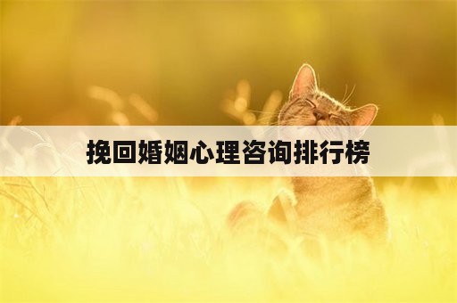 挽回婚姻心理咨询排行榜