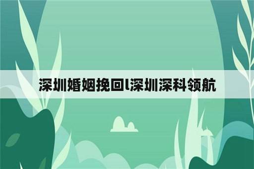 深圳婚姻挽回l深圳深科领航