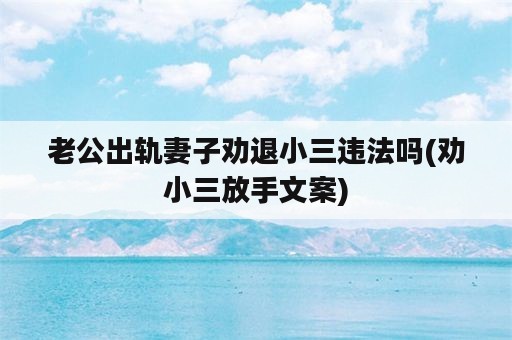 老公出轨妻子劝退小三违法吗(劝小三放手文案)