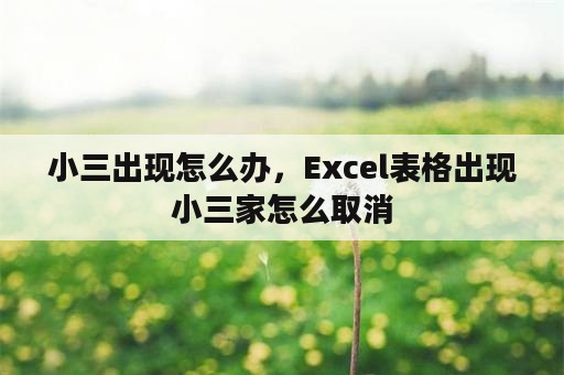 小三出现怎么办，Excel表格出现小三家怎么取消