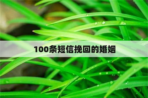 100条短信挽回的婚姻