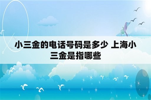 小三金的电话号码是多少 上海小三金是指哪些