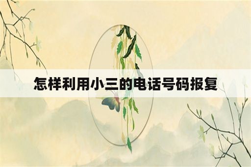 怎样利用小三的电话号码报复