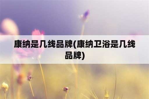 康纳是几线品牌(康纳卫浴是几线品牌)