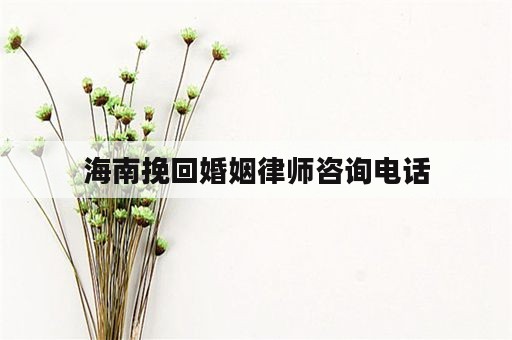 海南挽回婚姻律师咨询电话