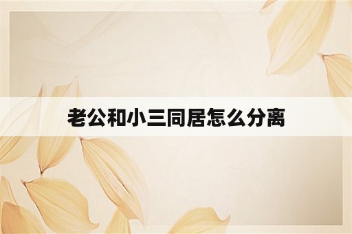 老公和小三同居怎么分离