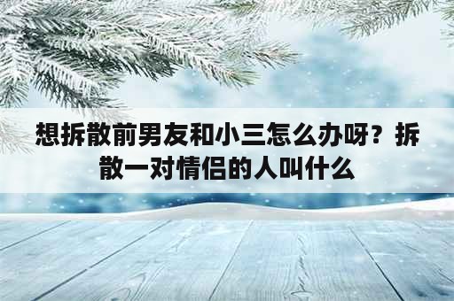 想拆散前男友和小三怎么办呀？拆散一对情侣的人叫什么