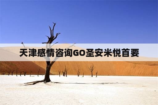 天津感情咨询GO圣安米悦首要