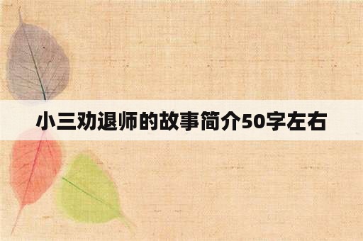 小三劝退师的故事简介50字左右