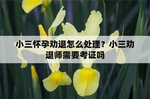 小三怀孕劝退怎么处理？小三劝退师需要考证吗