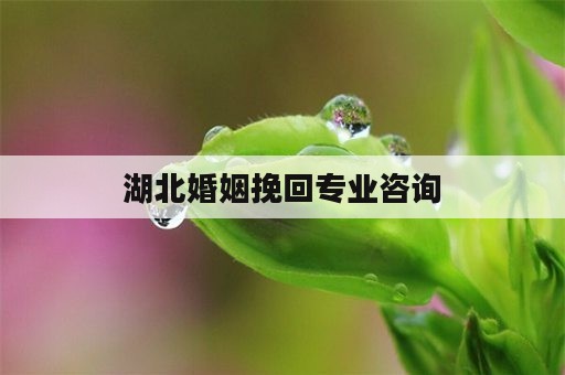 湖北婚姻挽回专业咨询