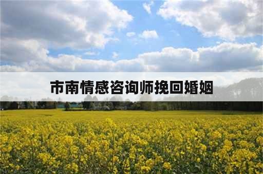 市南情感咨询师挽回婚姻