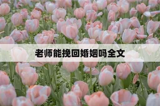 老师能挽回婚姻吗全文