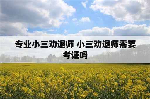 专业小三劝退师 小三劝退师需要考证吗