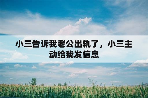 小三告诉我老公出轨了，小三主动给我发信息