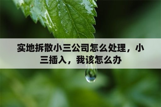 实地拆散小三公司怎么处理，小三插入，我该怎么办