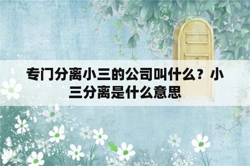 专门分离小三的公司叫什么？小三分离是什么意思