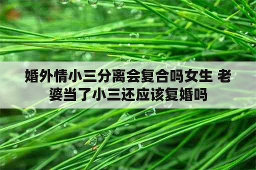 婚外情小三分离会复合吗女生 老婆当了小三还应该复婚吗