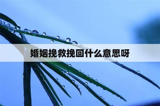 婚姻挽救挽回什么意思呀