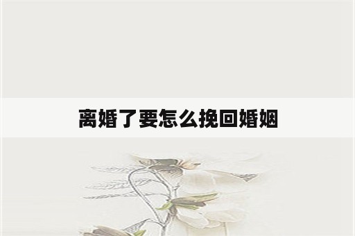 离婚了要怎么挽回婚姻