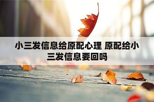 小三发信息给原配心理 原配给小三发信息要回吗