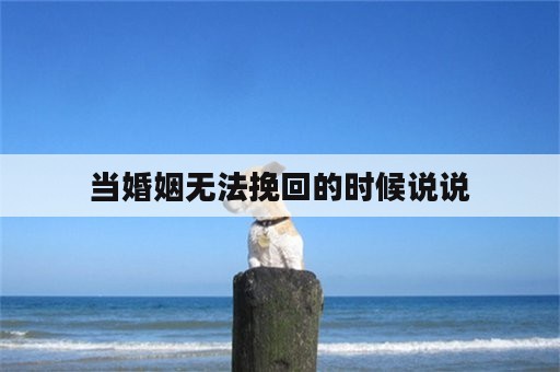 当婚姻无法挽回的时候说说