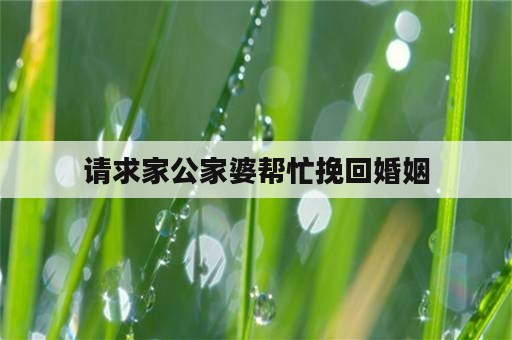 请求家公家婆帮忙挽回婚姻