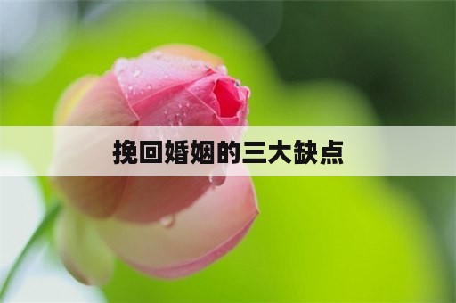 挽回婚姻的三大缺点