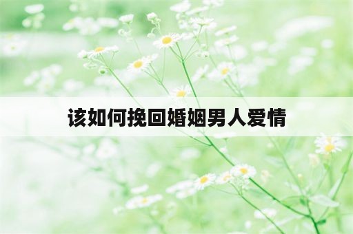 该如何挽回婚姻男人爱情