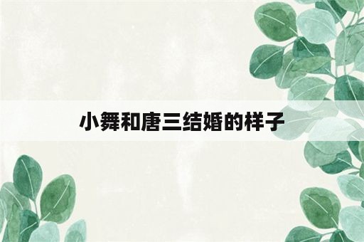 小舞和唐三结婚的样子