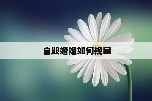 自毁婚姻如何挽回