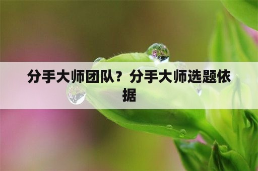 分手大师团队？分手大师选题依据