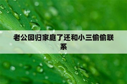 老公回归家庭了还和小三偷偷联系