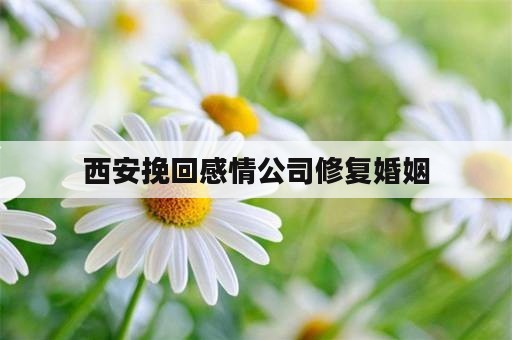 西安挽回感情公司修复婚姻