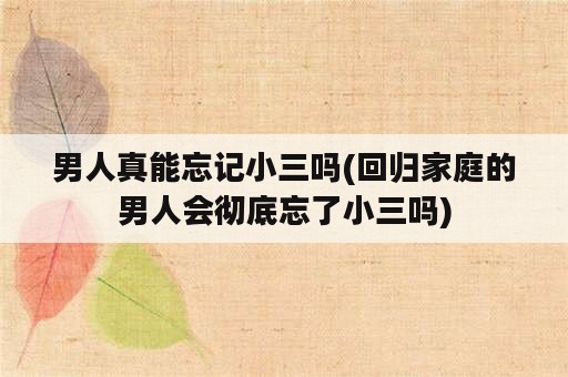 男人真能忘记小三吗(回归家庭的男人会彻底忘了小三吗)