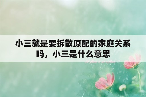 小三就是要拆散原配的家庭关系吗，小三是什么意思