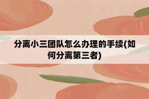 分离小三团队怎么办理的手续(如何分离第三者)