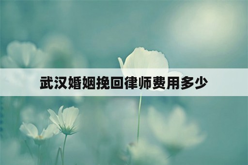 武汉婚姻挽回律师费用多少