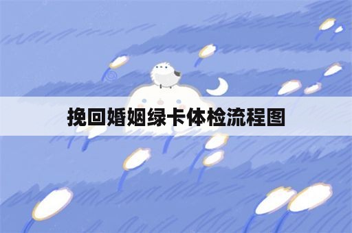 挽回婚姻绿卡体检流程图