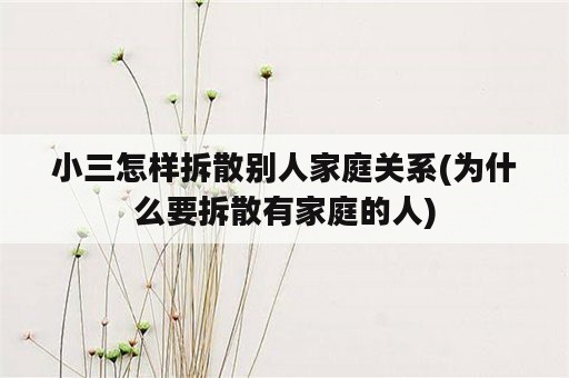 小三怎样拆散别人家庭关系(为什么要拆散有家庭的人)